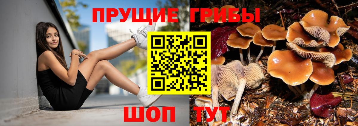 Псилоцибиновые грибы мухоморы  Псилоцибиновые грибы прущие грибы  Вход с VPN  Кемерово 