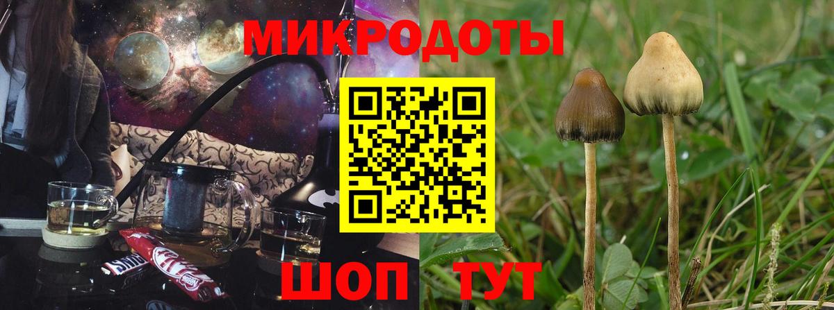 Галлюциногенные грибы мухоморы Кемерово